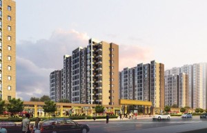 中国房地产业的演变与未来展望